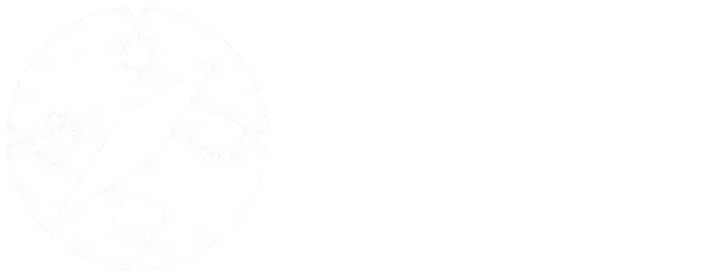 Logo que ropa llevar